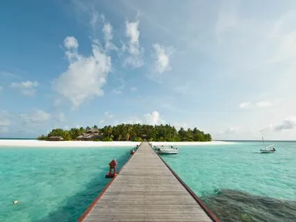 Visualize Your Future Self