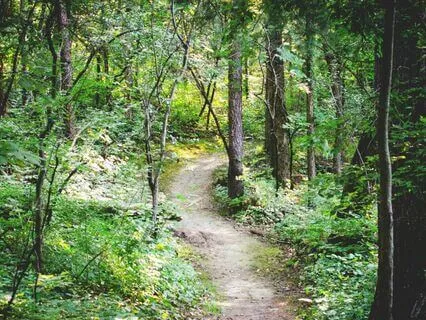 Visualize Your Healed Self