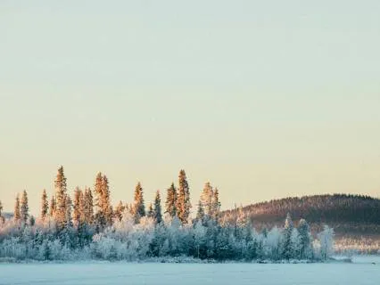 Visualize Your Heart's Desired Feeling