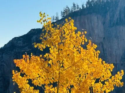 Visualize Your New Reality & Transform Your Life