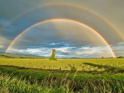 Visualizing A Perfect Day