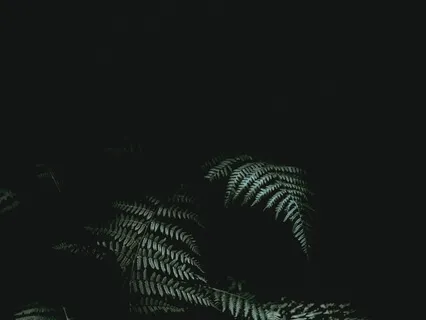 Visualizing The Infinity Symbol For Sleep