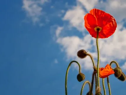 Visualizing Your Desire - From 'Your Invisible Power'