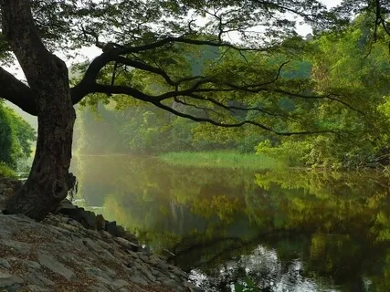 Visualizing Your Dream Life