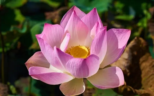 Visualizing Your Peaceful Place