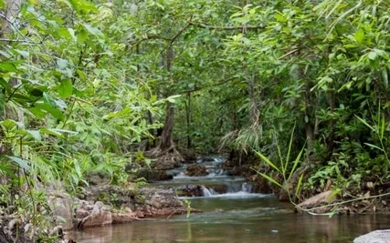 Visualizing Your Peaceful Place