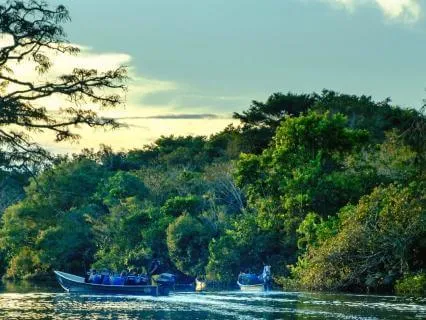 Vital Inner Currents