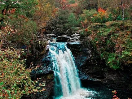 Vitamin D:  Destiny!