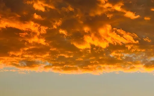 Vitamin See Nourishing Meditation