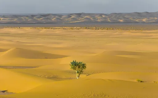 Визуализация для внутренней силы