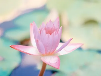 Vježba disanja u prostoru