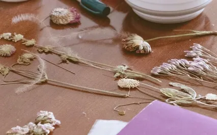 Внимательность к Дыханию