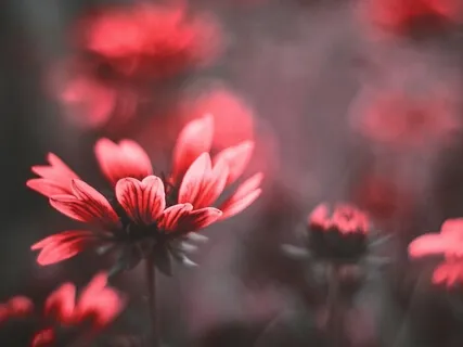 Внутренняя Гармония