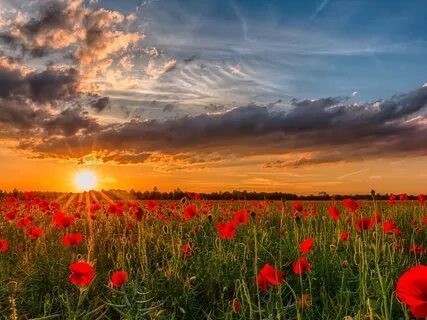 Внутренняя Улыбка