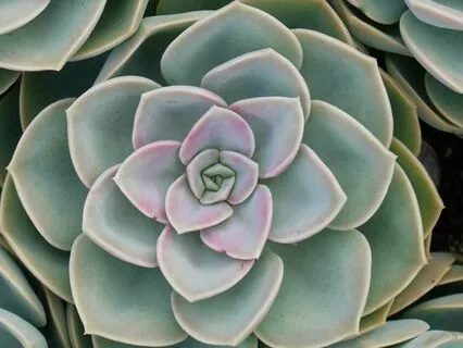 Vocal Sound Healing Meditation For Opening The Heart Chakra