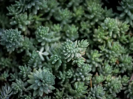 Водопад. Очищение от Негативных Эмоций 