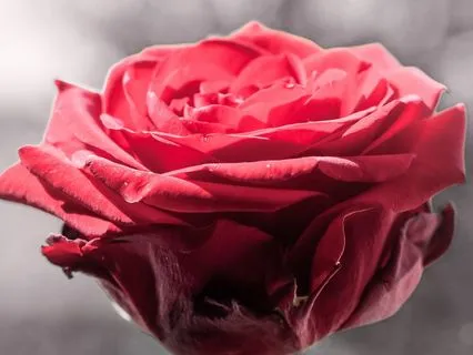 Voice Awakening Immersion