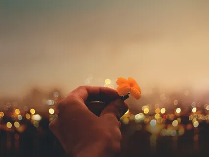 Voices from the Heart