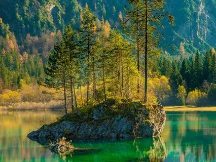 Voices In The Desert