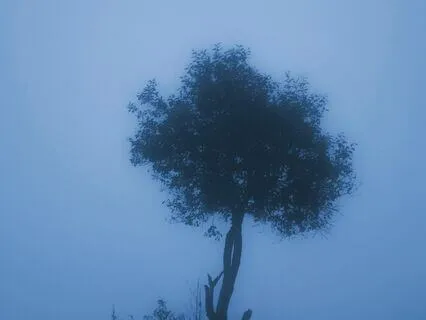 Void Rhythm | Ambient Meditation Music