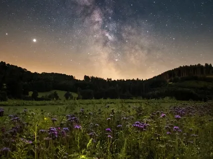 Волшебная Ночь. Для Исполнения Желаний