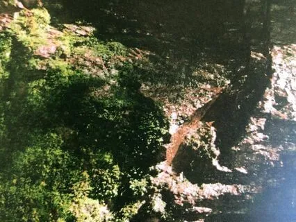 Voo Breath For Sleep ~ Ancient Hymn ~ Old Moss Growing