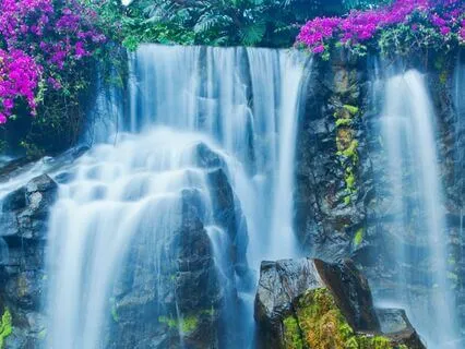 Vortex Cleansing And Healing