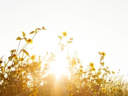 Vows To Healing My Body