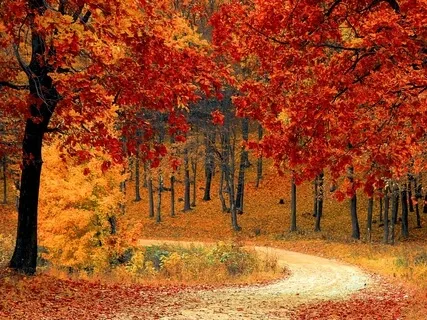 Voyage sonore avec des bols de cristal alchimiques (Sound Journey With Alchemical Crystal Bowls)