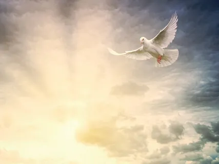 Voyager Of Light - A Musical Journey By UTE (Woodwind/Soprano Flute) & Pablo Arellano (Serene String Composition)