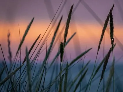 Возвращение Энергии в Настоящее