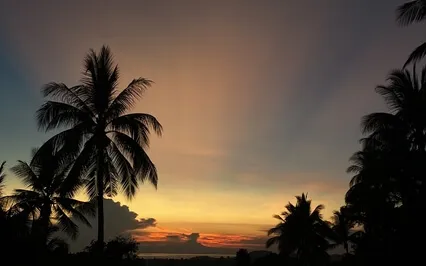 Возвращение в Тело Плюс - Вилома Пранаяма