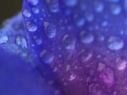 Все Будет Хорошо