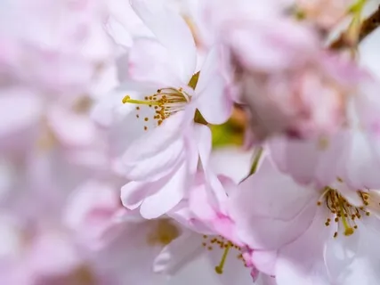 Vulnerability Meditation For Difficult Emotions