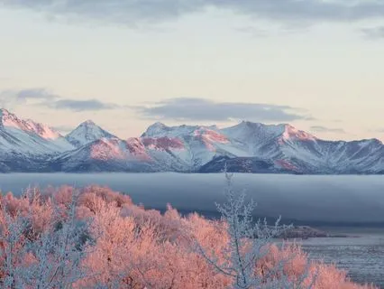 Vulnerability — The Strength To Be Seen