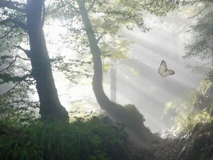 Vulnerable Expressions