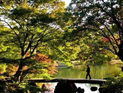 Wabi Sabi Breath: Finding Peace