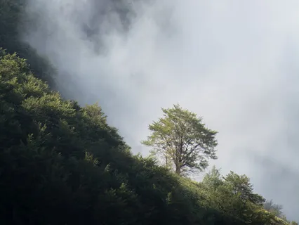 Waiting For Rain, A Song Of Hope On Piano