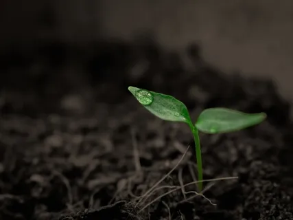 Waiting For The Other Shoe To Drop With Vivian Nunez