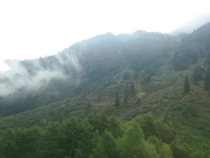 Waiting in One Direction