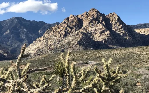 Waiting - Responding With Prayer