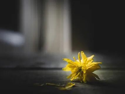 Waiting’s Center • Grounding :: The Waiting Series