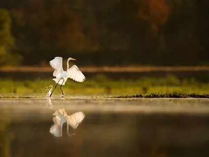 Wake & Affirm: A 5-Minute Practice