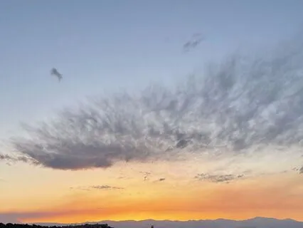 Wake-In Wellness 9-Card Sample Deck Long-Form Music Only