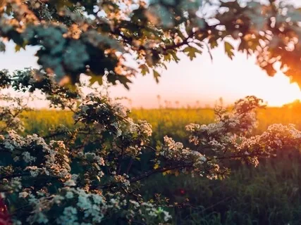 Wake Up And Shine: A Daily Morning Practice