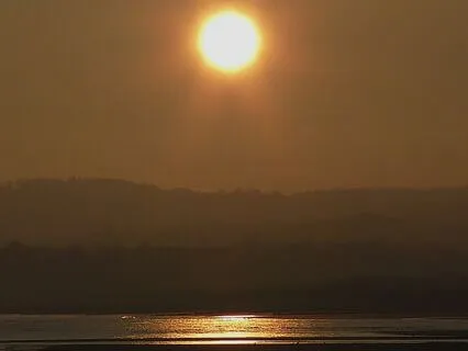 Wake Up But Don't Log In To The Mind (Morning Meditation)