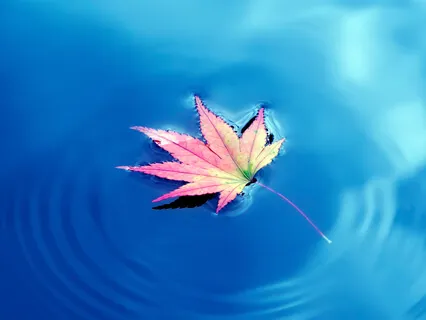 Wake Up Early For Productivity