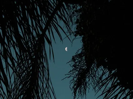 Wake Up Energized [Fall Asleep Instantly] Deep Sleep Music