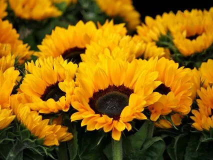 Wake Up Feeling Safe And Enough