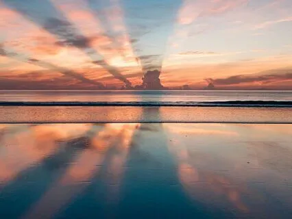 Wake Up From Reactivity 9 Minute Meditation